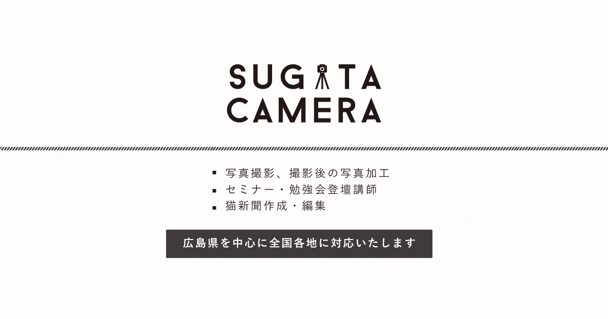 広島のプロフィール写真撮影スギタカメラ カメラマン出張撮影 結婚式 前撮りやイベント 猫写真も